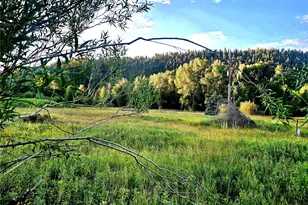 Lot 9 Tixier Ramirez Circle, Antonito, CO 81120 - Photo 1