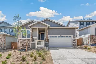 1905 Water Birch Wy, Castle Rock, CO 80108 - Photo 1