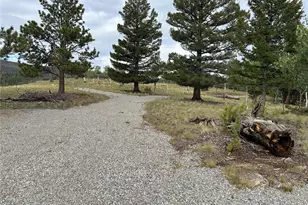3826 Singletree Rd, Hartsel, CO 80449 - Photo 1