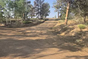 528 Pine Ln, Hartsel, CO 80449 - Photo 1