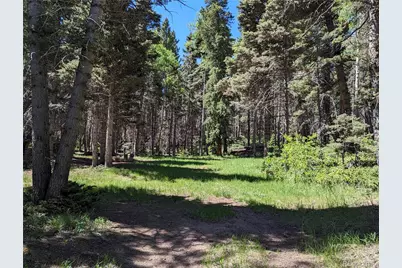 3131 Henderson Drive, Fort Garland, CO 81133 - Photo 1