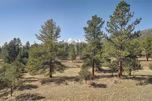 18202 Alta Vista Dr, Buena Vista, CO 81211 - Photo 45