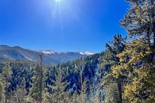 000 Ute Creek Rd, Idaho Springs, CO 80452 - Photo 1