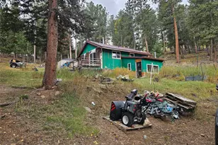 668 N Pine Dr, Bailey, CO 80421 - Photo 1