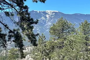 62430 Hwy 285, Bailey, CO 80421 - Photo 1