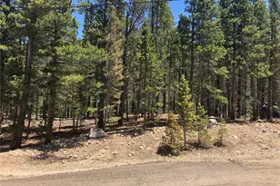 Silver Creek Rd, Idaho Springs, CO 80452 - Photo 1