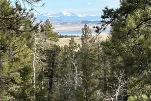 1506 Bellows Rd, Hartsel, CO 80449 - Photo 1