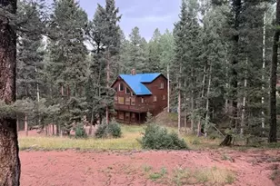 2741 N Mountain Estates Rd, Florissant, CO 80816 - Photo 1