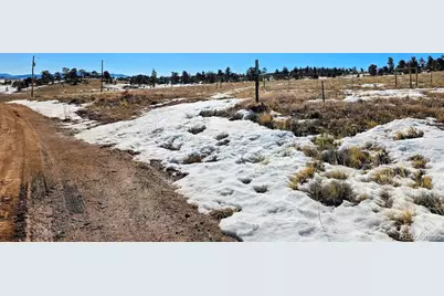 134 Nana Road, Hartsel, CO 80449 - Photo 1