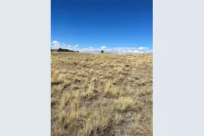 309 Castle Mountain Drive, Florissant, CO 80816 - Photo 1