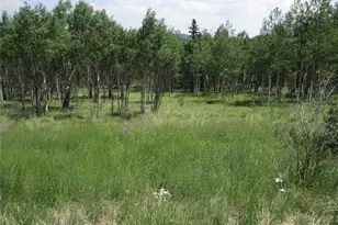 621 Hawk Way, Como, CO 80432 - Photo 1