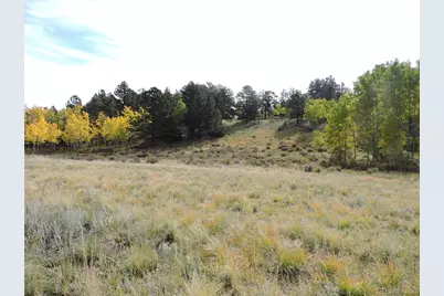 400 Aspen Way Drive, Lake George, CO 80827 - Photo 1