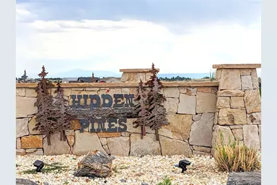 10874 Shadow Pines Road, Parker, CO 80138 - Photo 1