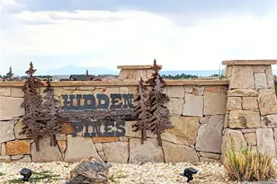 10874 Shadow Pines Rd, Parker, CO 80138 - Photo 1