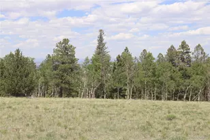 1100 Bolster Dr, Hartsel, CO 80449 - Photo 1