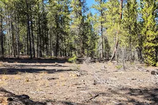 322 Juniper Dr, Twin Lakes, CO 81251 - Photo 1