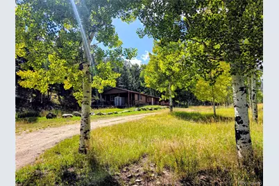 604 N Pine Drive, Bailey, CO 80421 - Photo 1