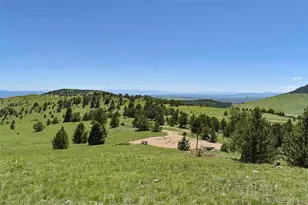 10860 Happy New Year, Cripple Creek, CO 80813 - Photo 1