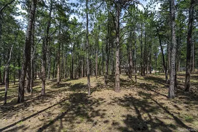 17960 Smugglers Road, Monument, CO 80132 - Photo 1