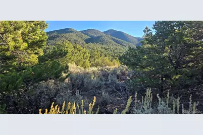 Lot 1361 Dunn Road, Fort Garland, CO 81133 - Photo 1