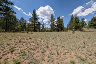 2053 Badger Creek Rd, Hartsel, CO 80449 - Photo 1