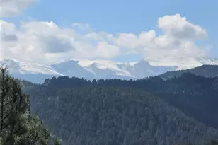 4464 Forest Trail, Evergreen, CO 80439 - Photo 1