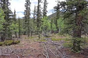 256 Bear Way, Como, CO 80432 - Photo 1