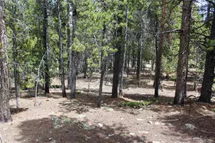 435 Aspen Rd, Black Hawk, CO 80422 - Photo 1