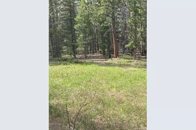 119 Cedar Way, Black Hawk, CO 80422 - Photo 1