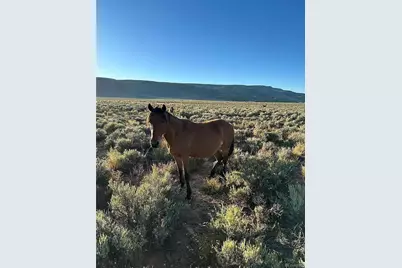 333 W Valley Drive, San Luis, CO 81152 - Photo 1