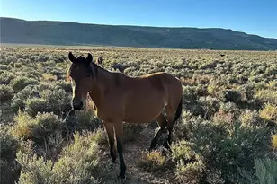 333 W Valley Dr, San Luis, CO 81152 - Photo 1