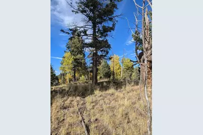 303 Viewcrest Way, Florissant, CO 80816 - Photo 1