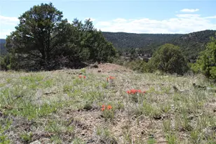 Tbd Picketwire Rd, Trinidad, CO 81082 - Photo 1