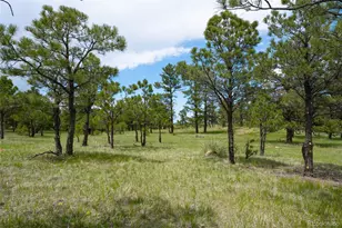 Parcel #5 County Road 122, Ramah, CO 80832 - Photo 1