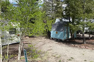 101 Rail Way, Fairplay, CO 80440 - Photo 1