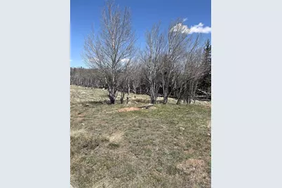 83 Pelican Place, Como, CO 80432 - Photo 1