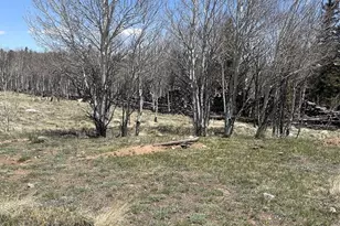 83 Pelican Pl, Como, CO 80432 - Photo 1