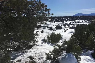 Rio Cucharas, Walsenburg, CO 81089 - Photo 1