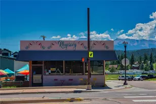 121 W Midland Ave, Woodland Park, CO 80863 - Photo 1