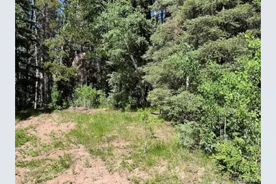 Lot 2893 Coder Place, Fort Garland, CO 81133 - Photo 1