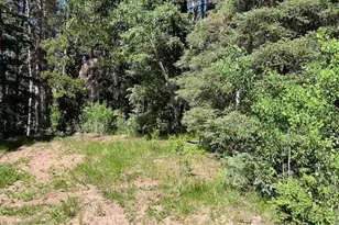 Lot 2893 Coder Pl, Fort Garland, CO 81133 - Photo 1