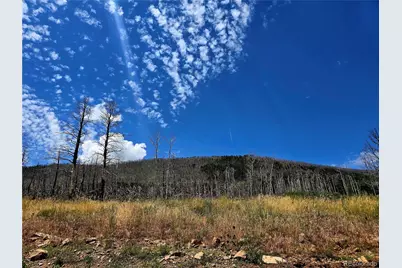 Lot 2057 Forbes Park Road, Fort Garland, CO 81133 - Photo 1