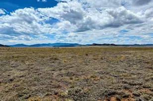 410 Montezuma Rd, Lake George, CO 80827 - Photo 1