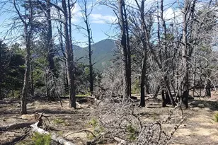 Lot 2739 Newman Pl, Fort Garland, CO 81133 - Photo 1