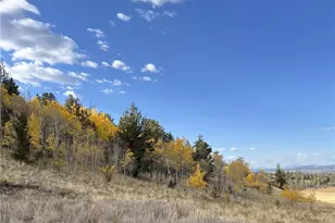 8494 Chickasaw Rd, Hartsel, CO 80449 - Photo 1