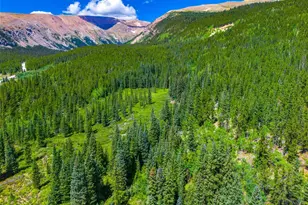 1421 Buckskin Rd, Alma, CO 80420 - Photo 1