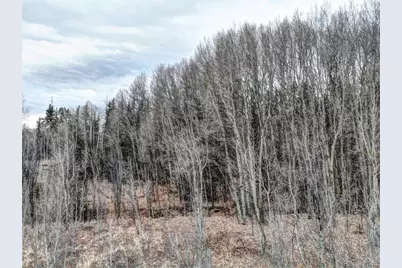 646 Antelope Way, Como, CO 80432 - Photo 1