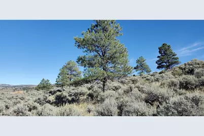 7668 Froom Road, Fort Garland, CO 81133 - Photo 1