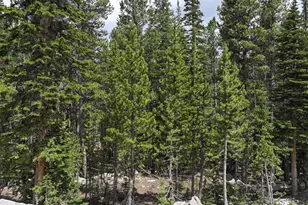 Lake Rd, Idaho Springs, CO 80452 - Photo 1