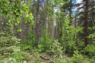 6656 Alden Rd, Fort Garland, CO 81133 - Photo 1